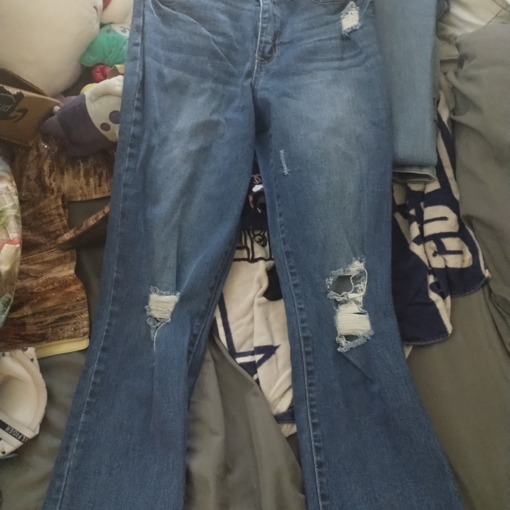 Sofia by Sofia Vergara Classic Blue Flare Jeans